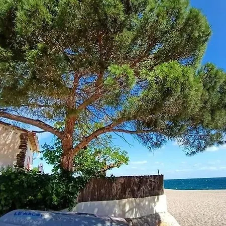 Renove A 50m De La Avec Jardin Et Wifi - Fr-1-776-94 Argelès-sur-Mer