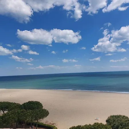 Renove A 50m De La Avec Jardin Et Wifi - Fr-1-776-94 Argelès-sur-Mer