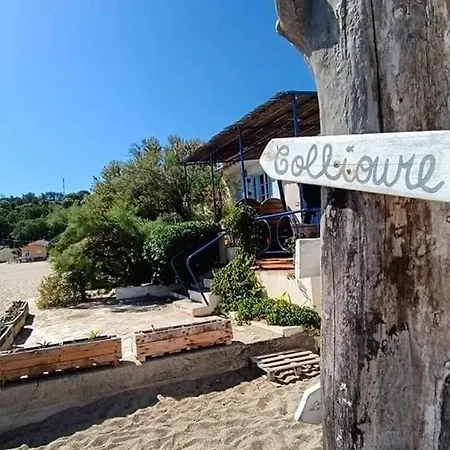 Renove A 50m De La Avec Jardin Et Wifi - Fr-1-776-94 Διαμέρισμα *