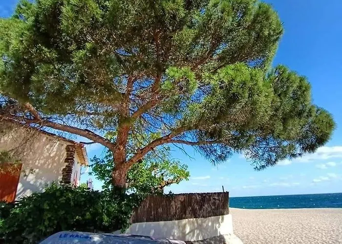 Renove A 50m De La Avec Jardin Et Wifi - Fr-1-776-94 ארגלס-סור-מר