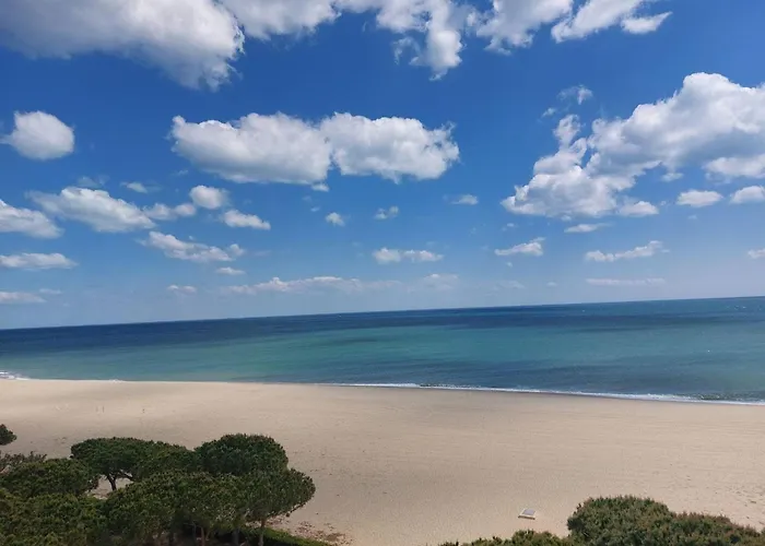 Renove A 50m De La Avec Jardin Et Wifi - Fr-1-776-94 ארגלס-סור-מר